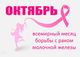 О проведении Всемирного дня борьбы с раком груди